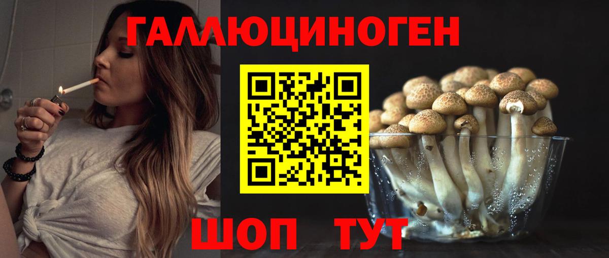 даркнет сайт  Вход с VPN  Советский  Псилоцибиновые грибы ЛСД 