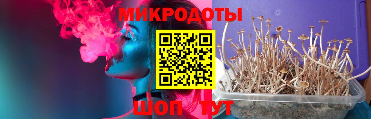 Псилоцибиновые грибы GOLDEN TEACHER Советский